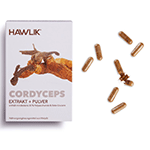 Cordyceps Extrakt und Pulver (120 Kapseln)